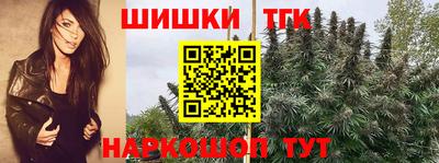 jwh Кандалакша